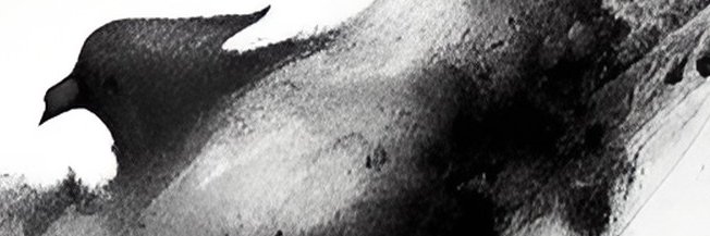 junkcano's profile banner image