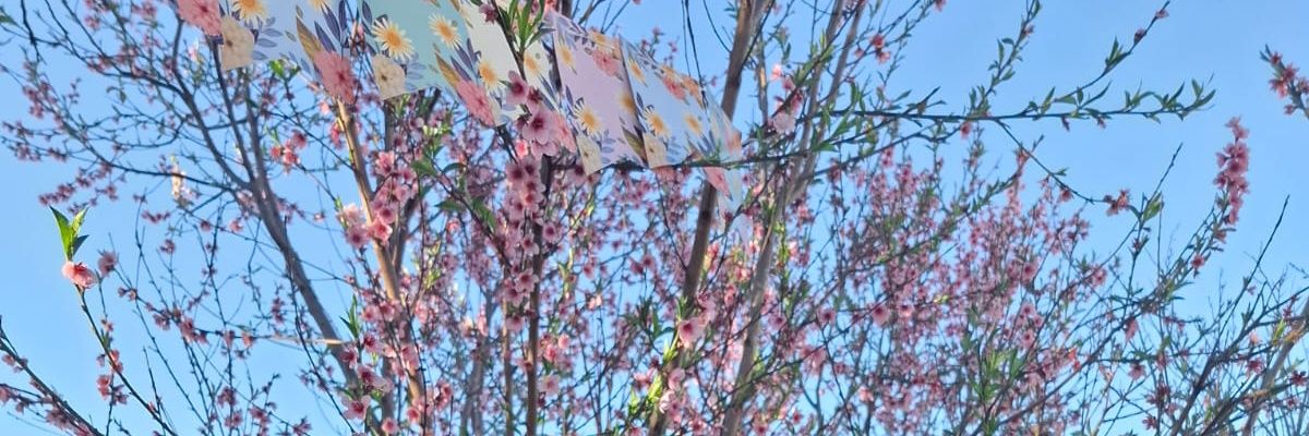maggilucentini's profile banner image