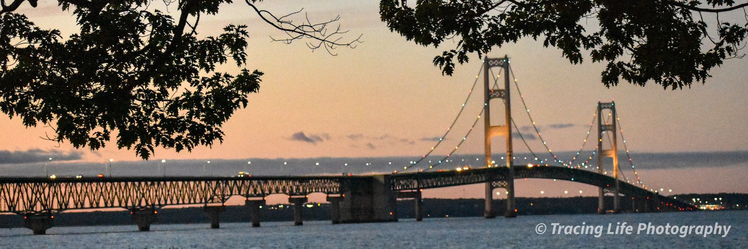 tleplus3's profile banner image
