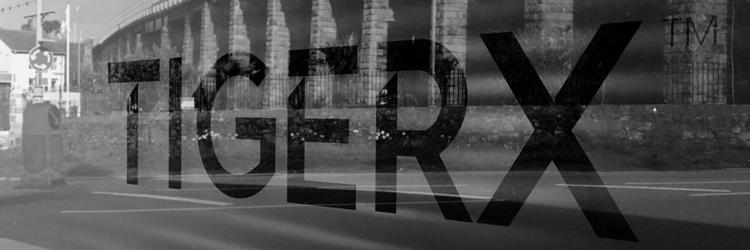 tigerxstudio's profile banner image