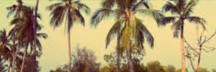 nataliepollardd's profile banner image