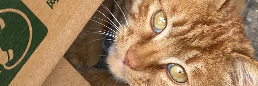 fredaayao1's profile banner image