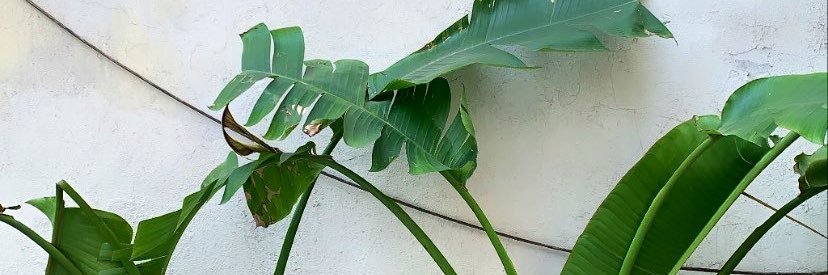 LauraEngland's profile banner image
