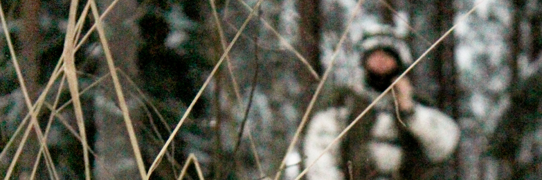 varmistin's profile banner image