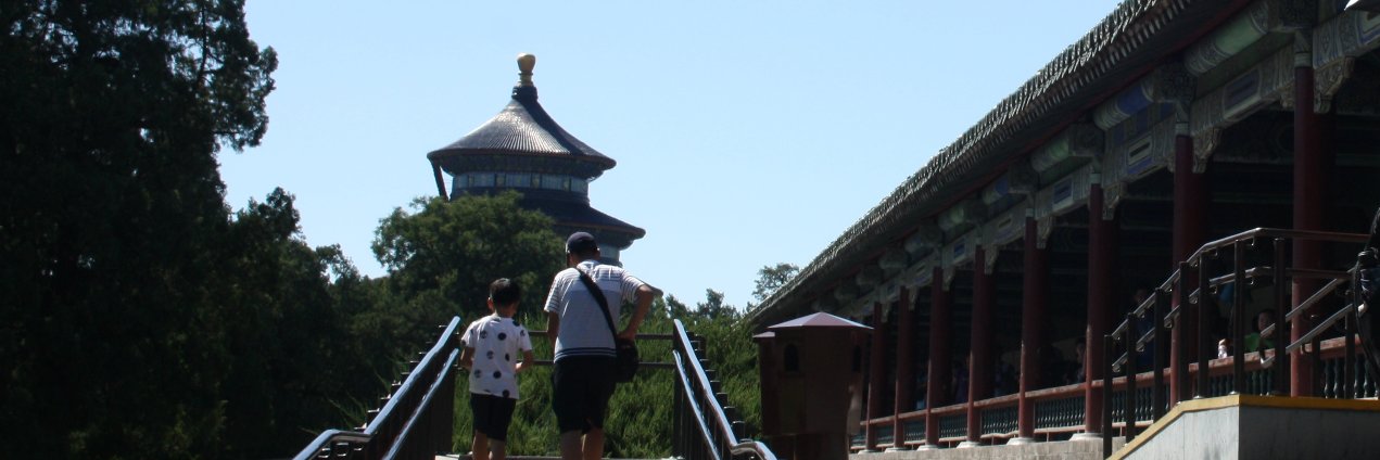 Erica Santini banner