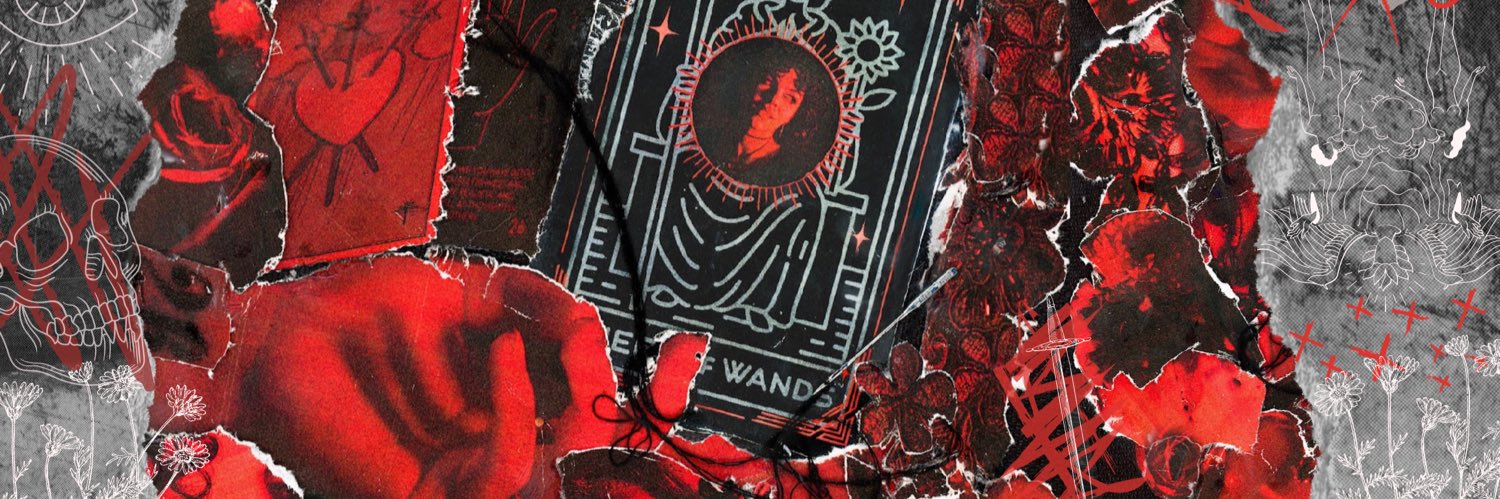 Mackenzie Johnson banner