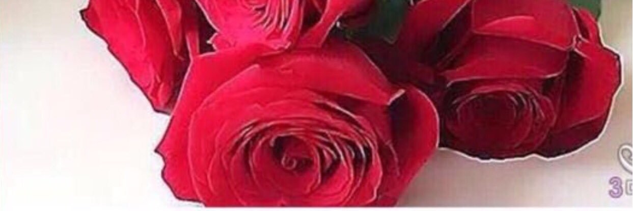 Q8_ALMASAH's profile banner image