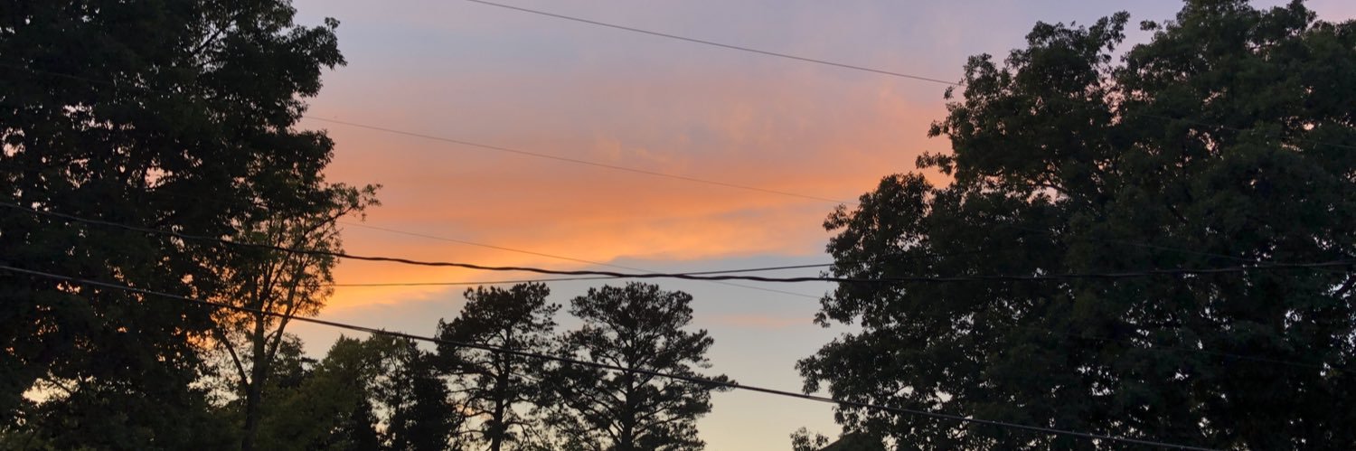 Meeshelada's profile banner image