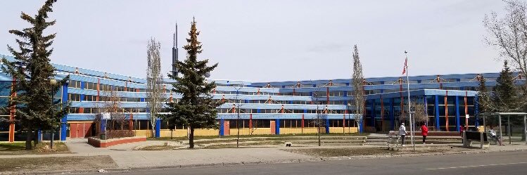 Lester B. Pearson HS banner