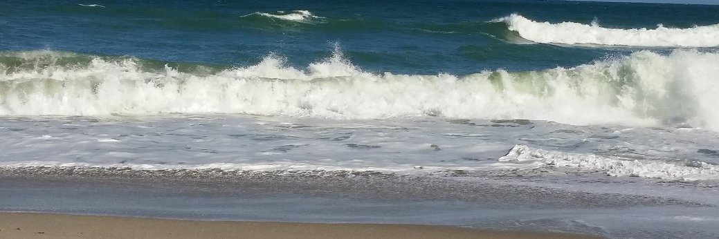 Jean Ann Harrison banner