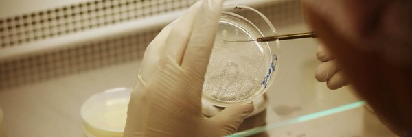 BioNativa Profile Banner