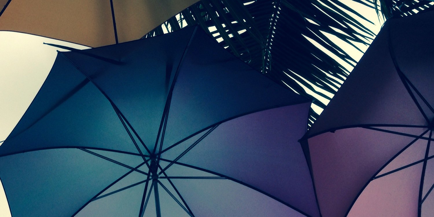 KatieSmeltzer's profile banner image