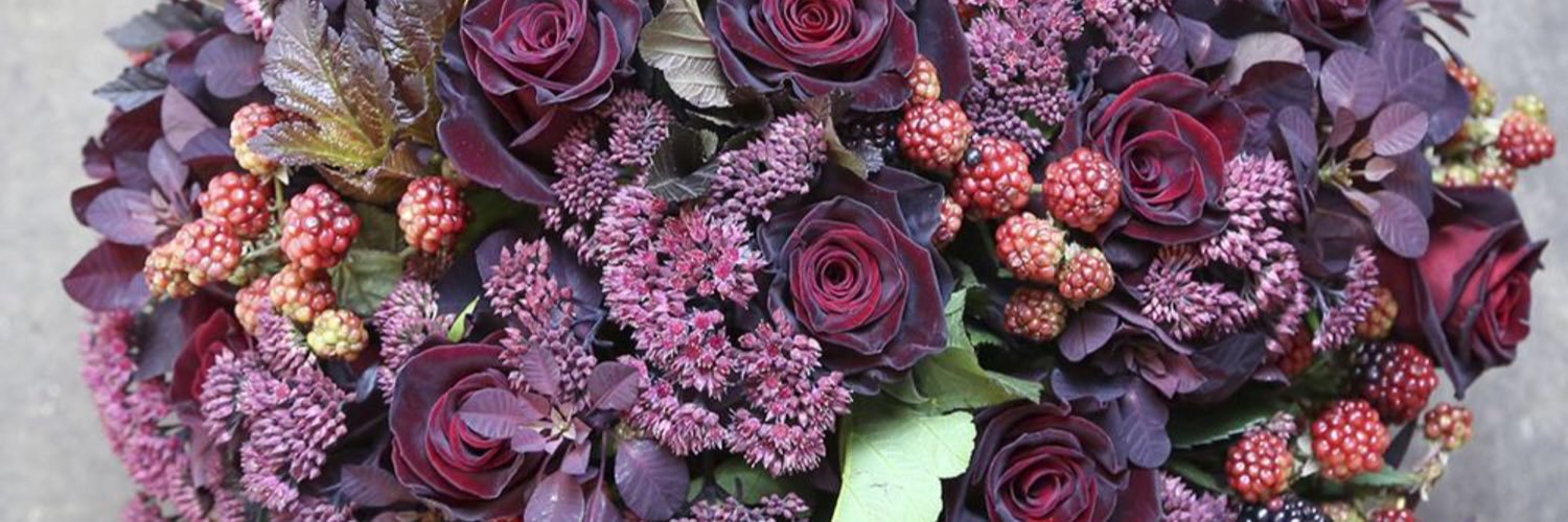 msmarymcgrath's profile banner image
