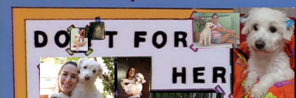 soledadrecalde's profile banner image
