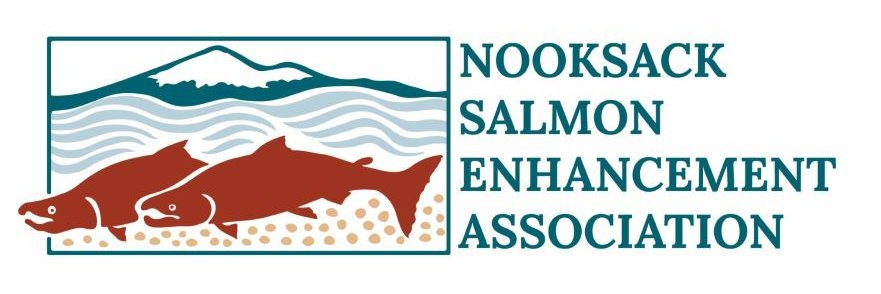 NooksackSalmon's profile banner image