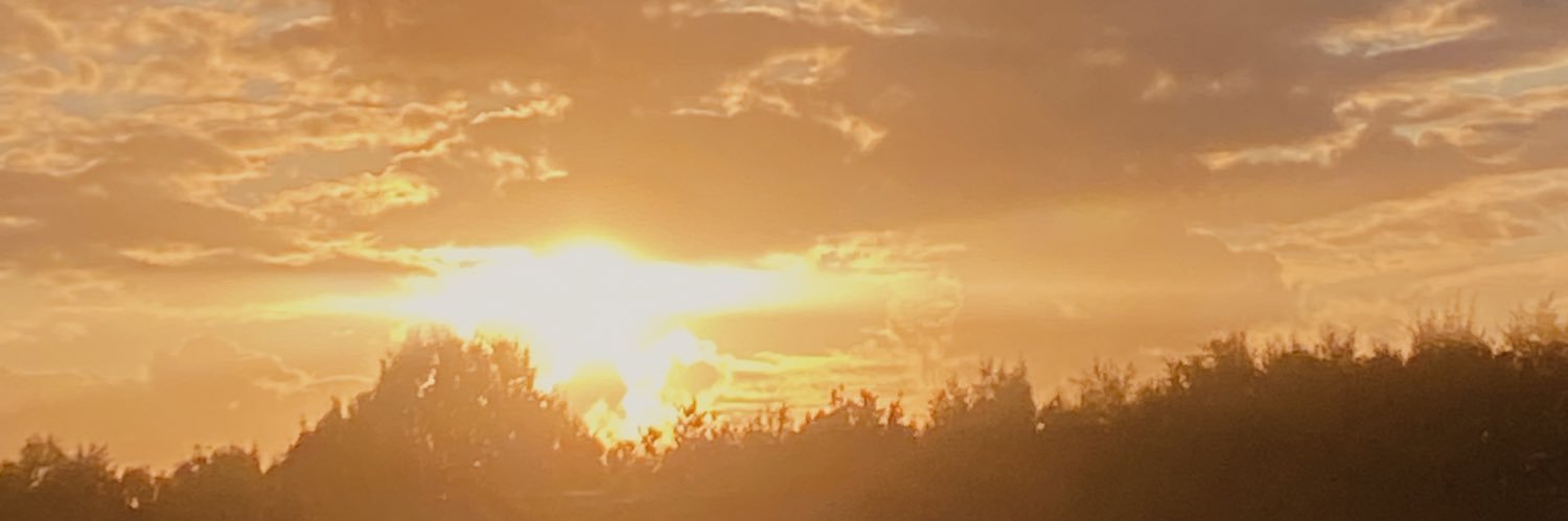 slubberdegullion banner