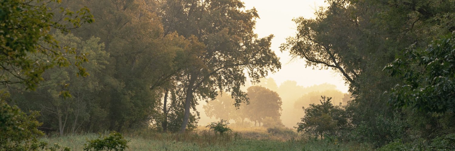 MattMendini's profile banner image