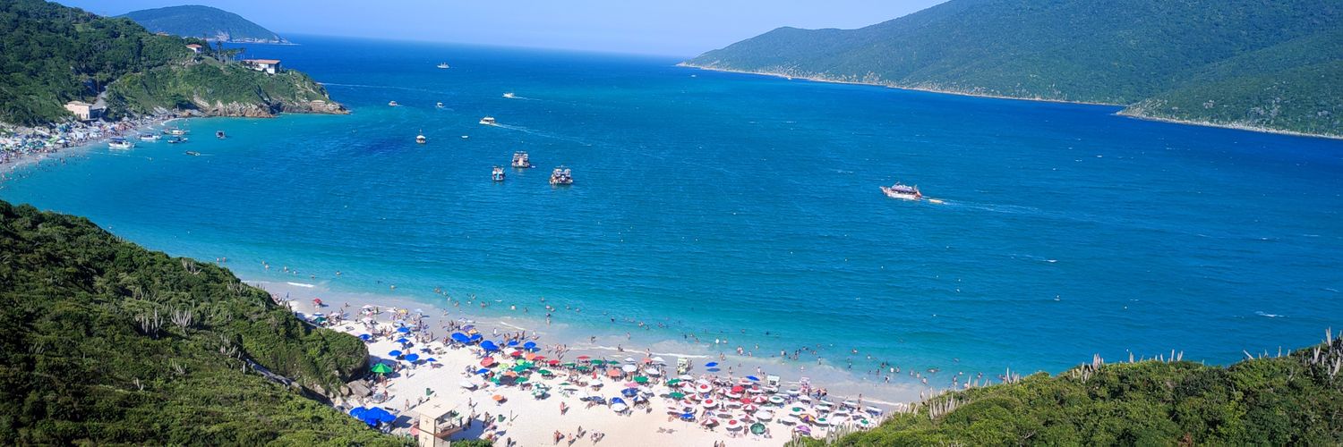 Sandro Barcellos banner