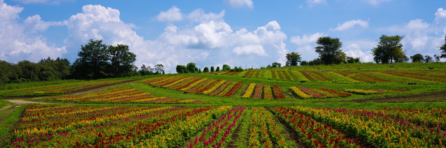 足立 義則 banner