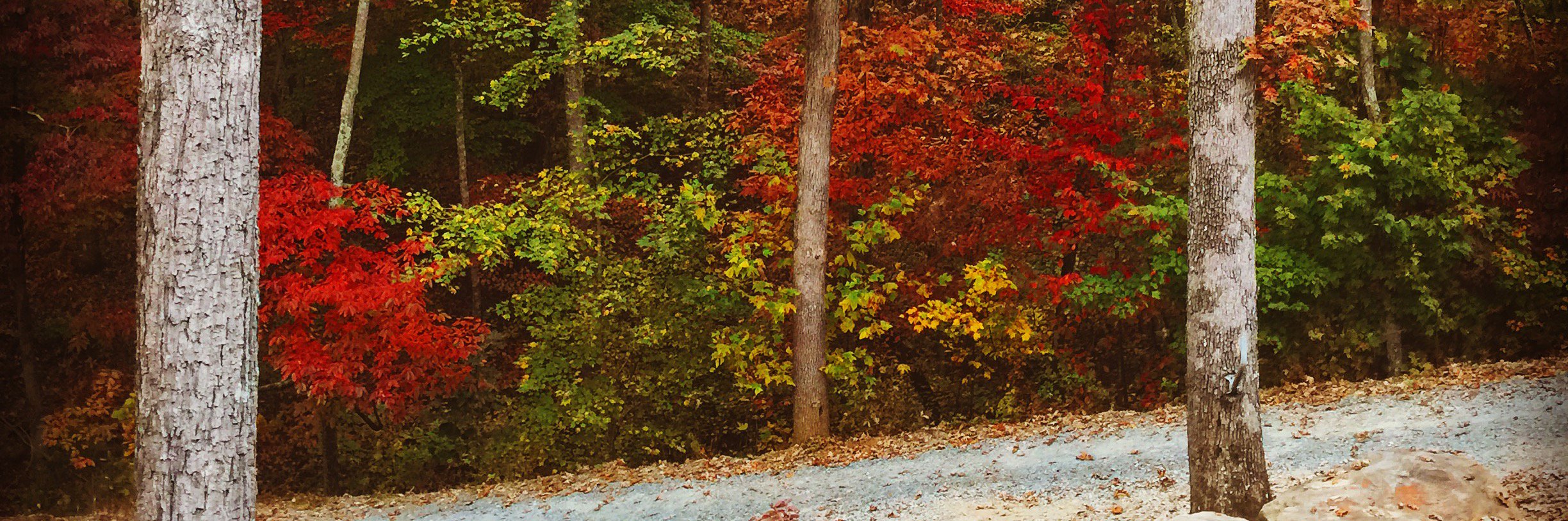 thebrassbra's profile banner image