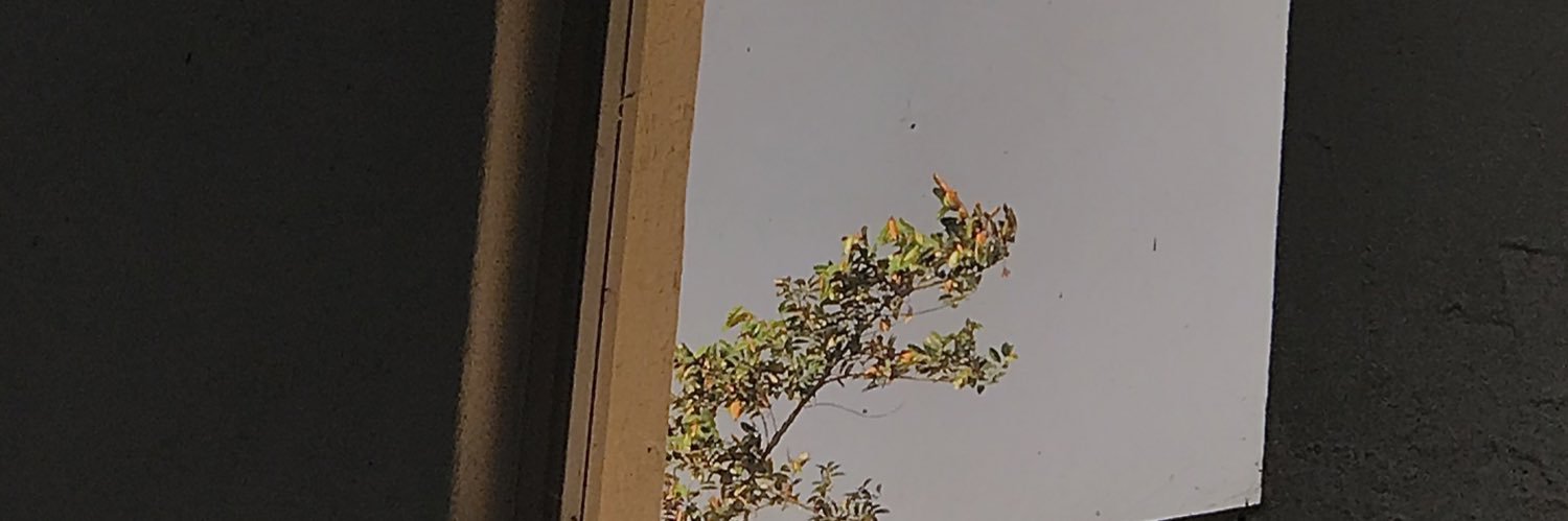 eyaa banner