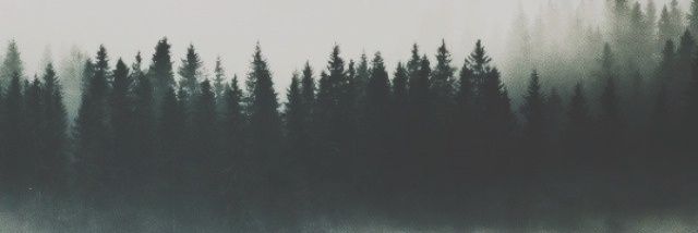 lebenpshsgdr's profile banner image