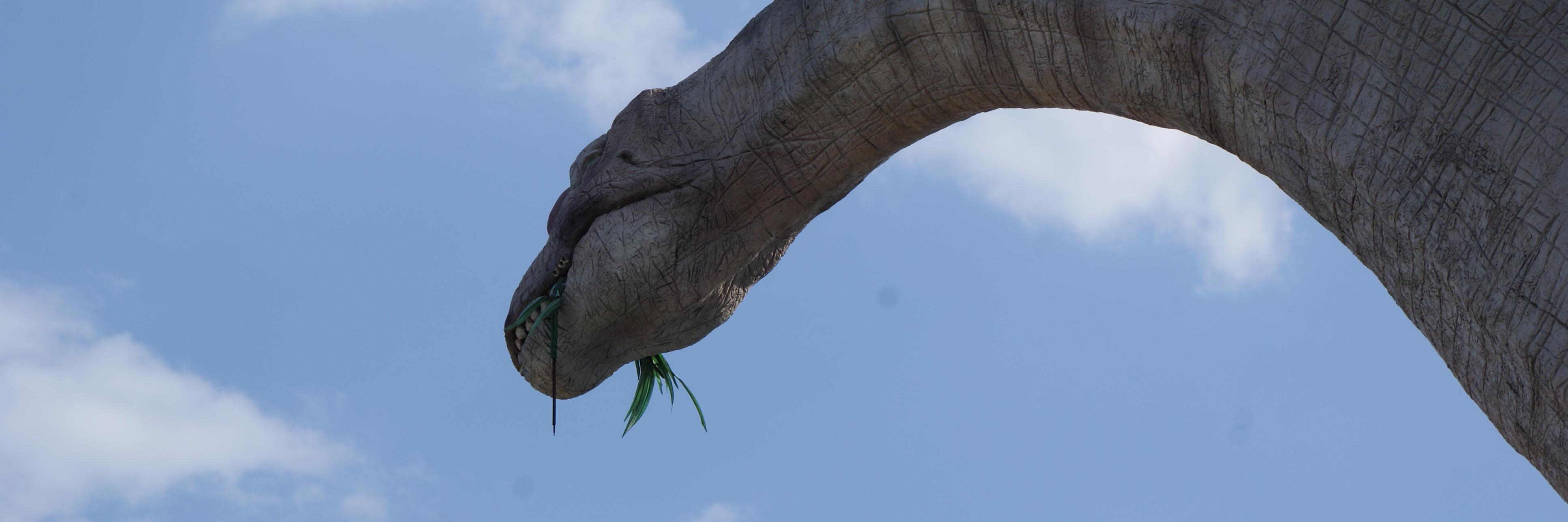 RStoltenborg's profile banner image