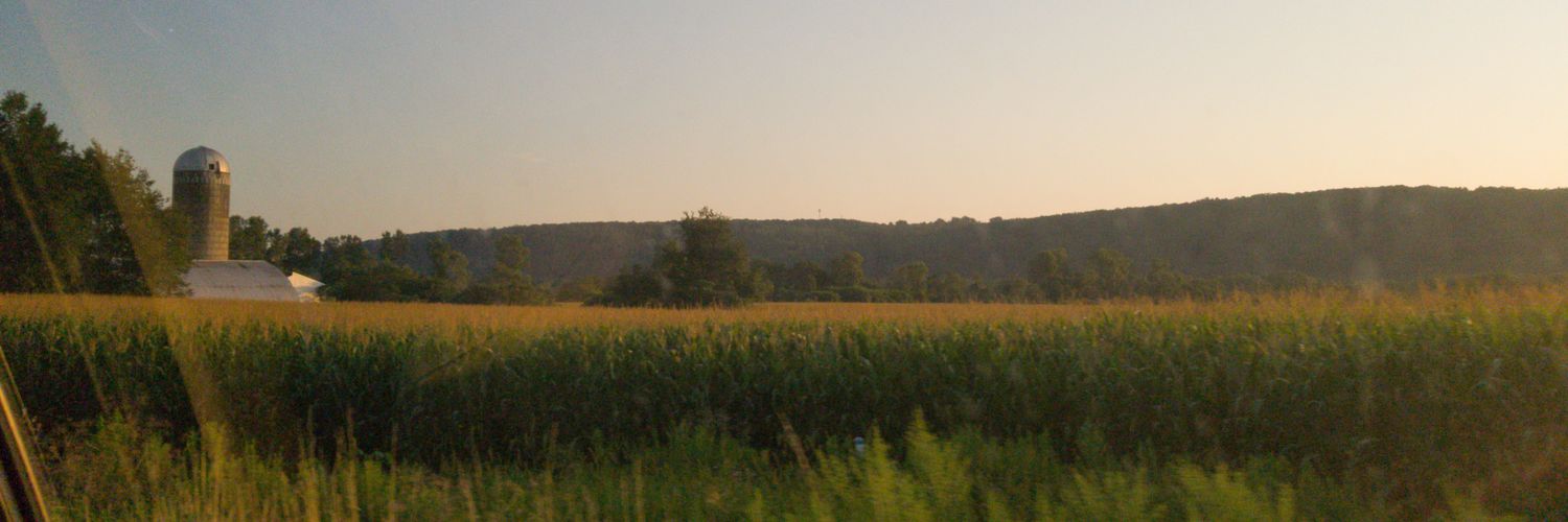 rdoherty20's profile banner image