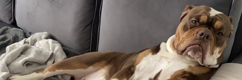 kaitlinaking's profile banner image