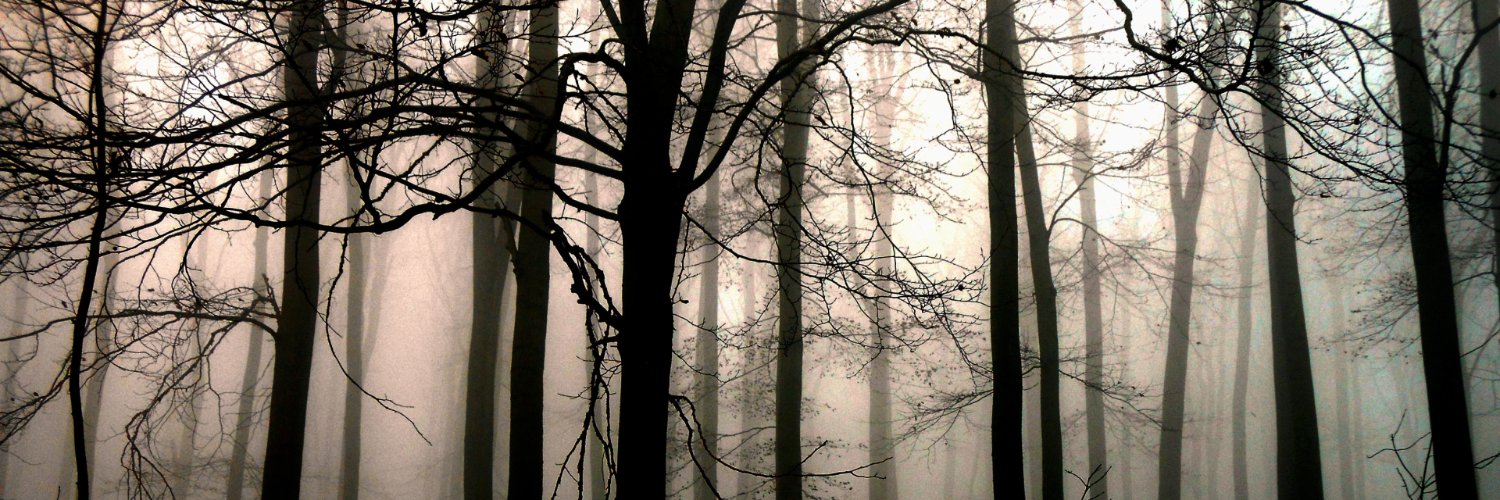 DjBondage's profile banner image