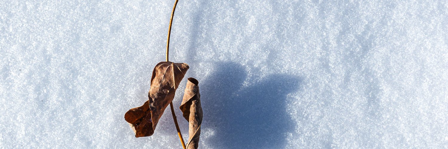 ethanradd's profile banner image