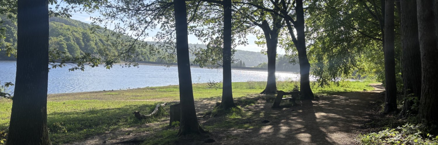 Jodie Calvert banner