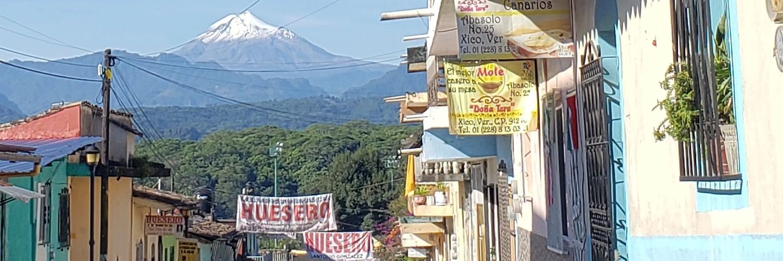 arborescentmind's profile banner image