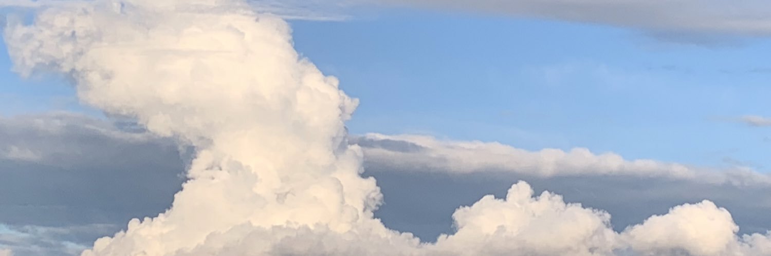 Karen Barfoot banner