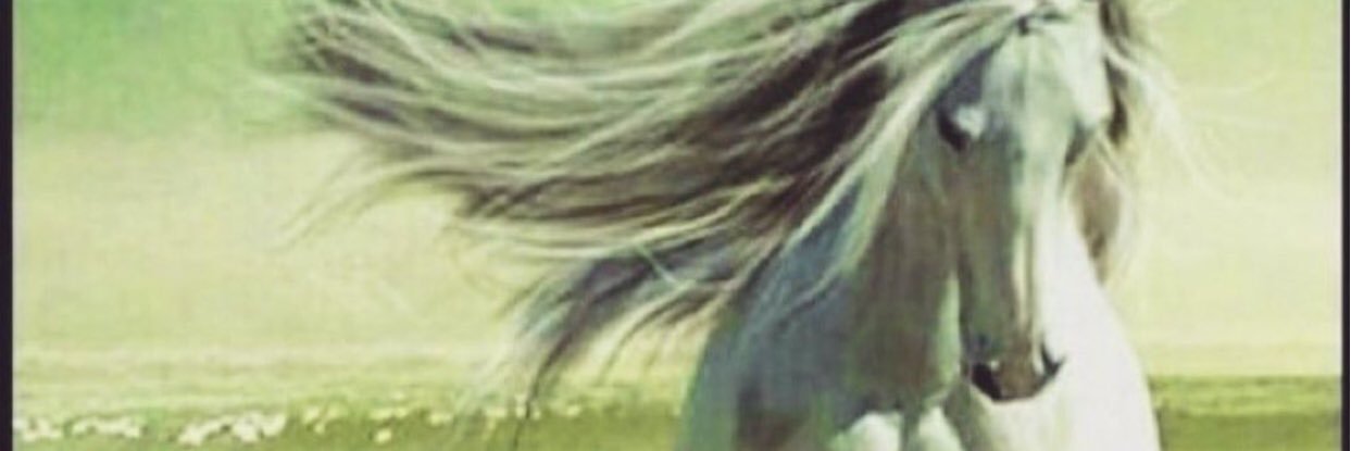 ibra2122's profile banner image
