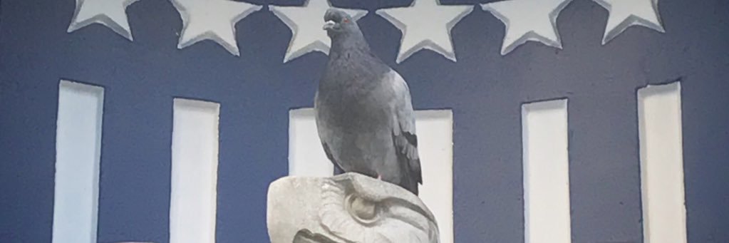 champagne+dabs socialist 🥂 banner