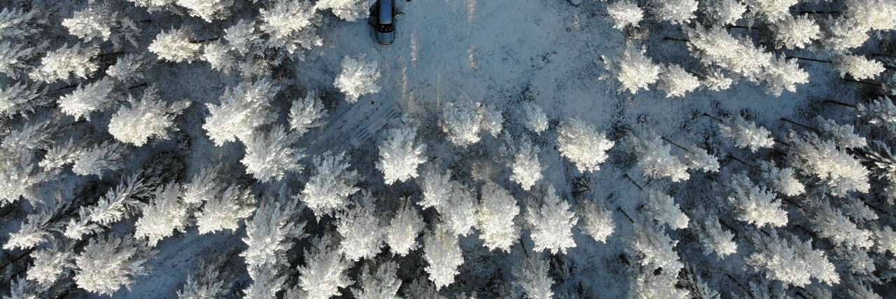 Virginia Mosquera 💧🌎💧 banner