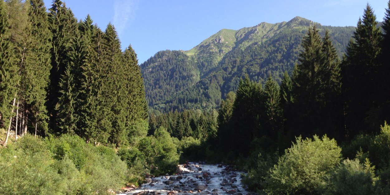 italia.no.vero! 🇮🇹🇪🇺 banner