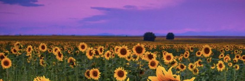 biqbeeswrld's profile banner image