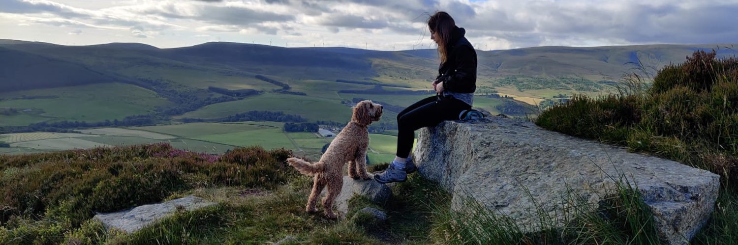 Laura Mitchell banner