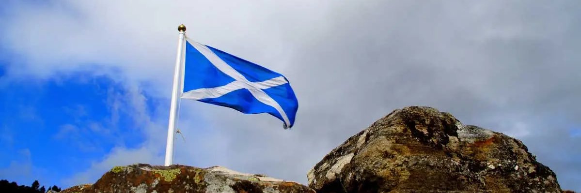 jilljohnston5's profile banner image