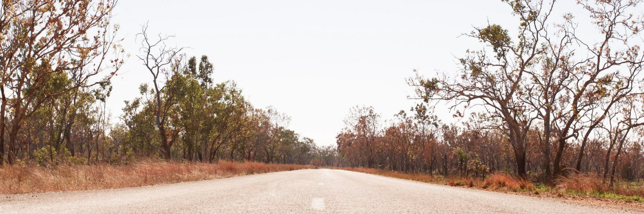 Prof Ben Colagiuri banner