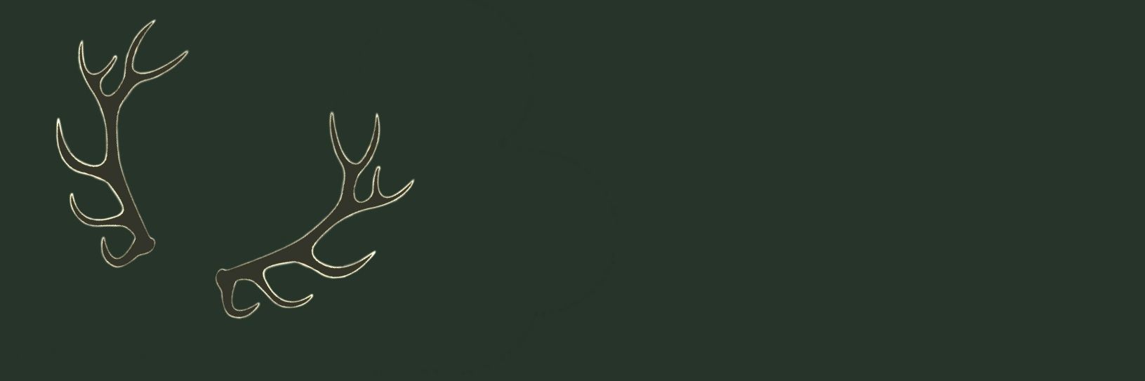 oli banner
