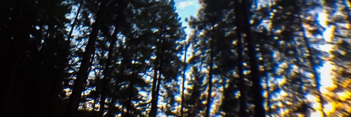 THUGGYX's profile banner image
