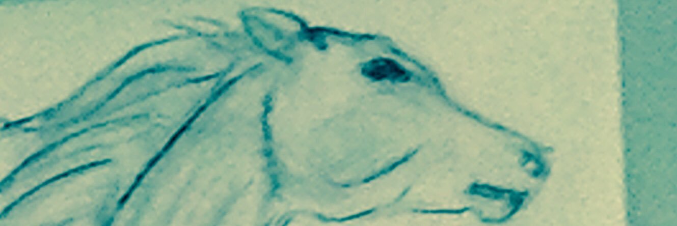sresseg's profile banner image