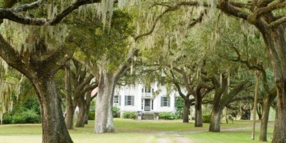 SouthernLitReview banner