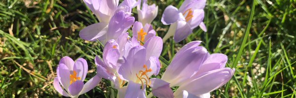 pascal_teclib Profile Banner