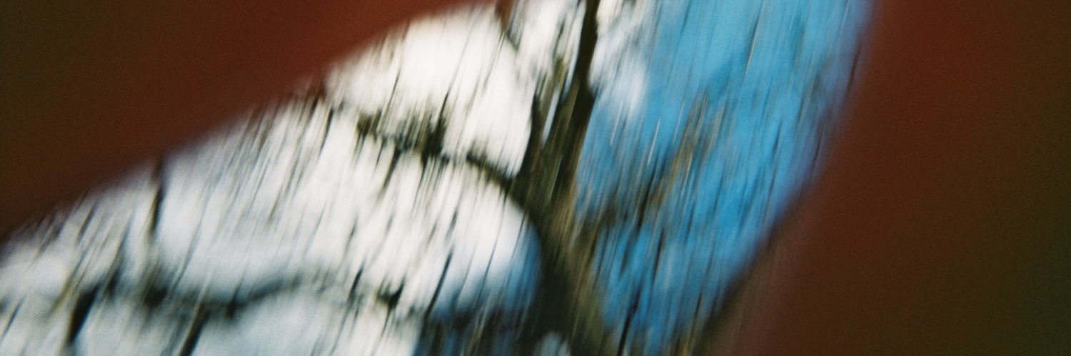 Dougarki's profile banner image
