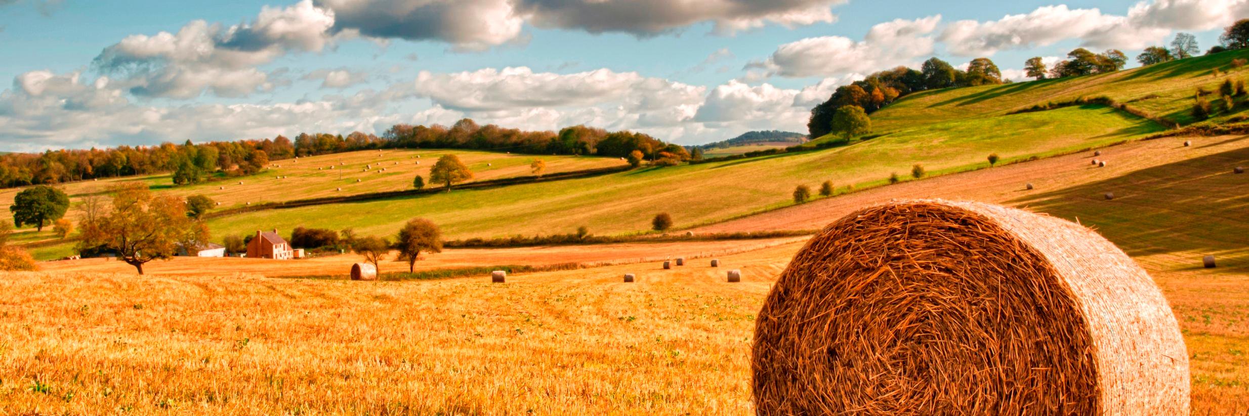 UK Nutrient Platform banner