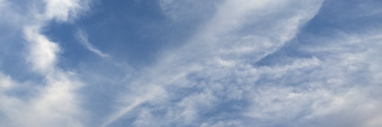wivelayenn's profile banner image